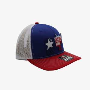 Texas Bull Mesh Hat